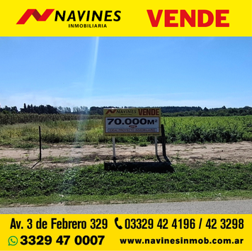 Campo en Venta en San Pedro